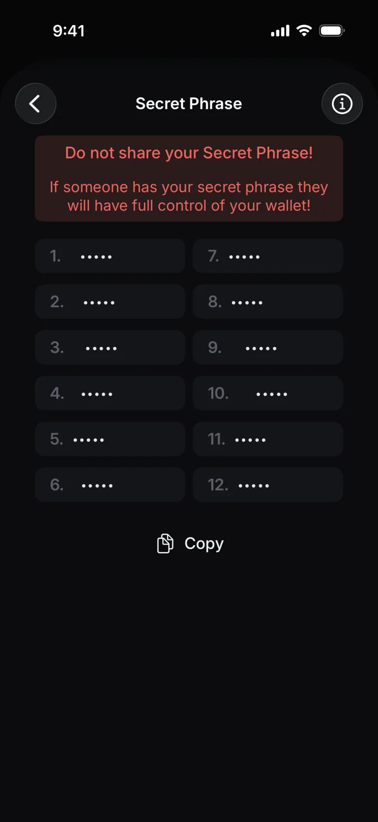 Write down the words (hidden on this picture)